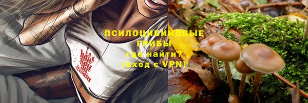 молекула духа Протвино
