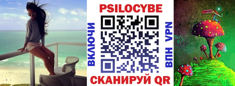 Галлюциногенные грибы Psilocybe  Купить закладки  Южа 